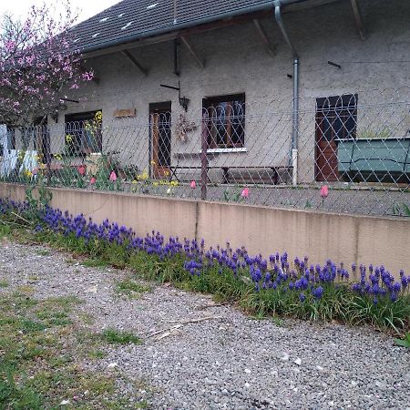 chez Domi Syl gite nature Apartman Colonne Kültér fotó