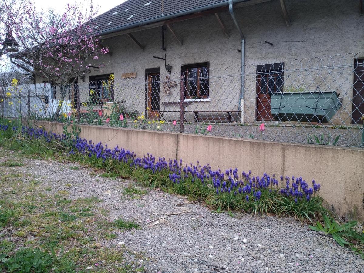 chez Domi Syl gite nature Apartman Colonne Kültér fotó