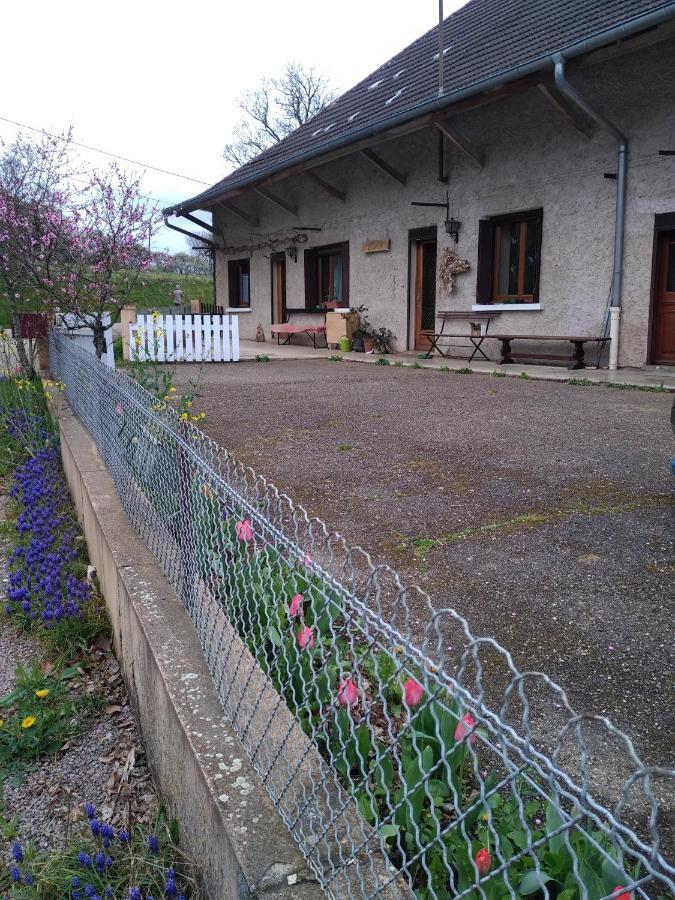 chez Domi Syl gite nature Apartman Colonne Kültér fotó